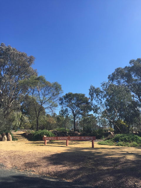 Grenfell Endemic Garden - Getaway Accommodation 0