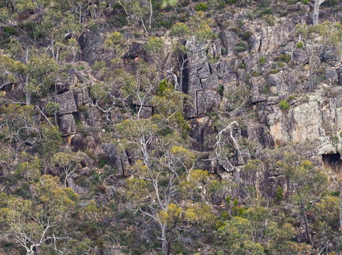 Horsnell Gully And Giles Conservation Parks - Getaway Accommodation 0