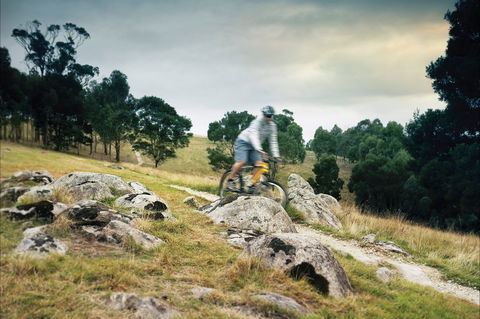 Lysterfield Park - Getaway Accommodation 1
