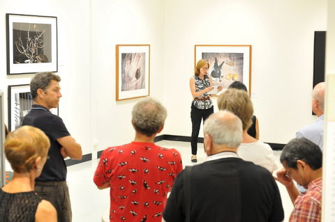 Pine Rivers Art Gallery - Getaway Accommodation 1