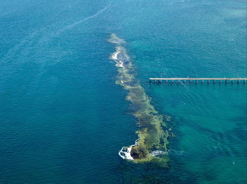 Port Noarlunga Reef Sanctuary Zone - Encounter Marine Park - Getaway Accommodation 0