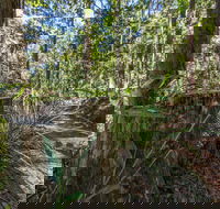 Thylogale Track - Getaway Accommodation