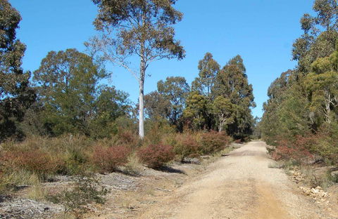 Werakata National Park - Getaway Accommodation 0