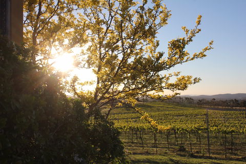 Wine Trail: Queanbeyan-Palerang - Getaway Accommodation 1