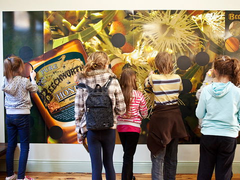 Beechworth Honey Shop - Getaway Accommodation 2