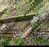 Daisy Hill Koala Centre - Getaway Accommodation