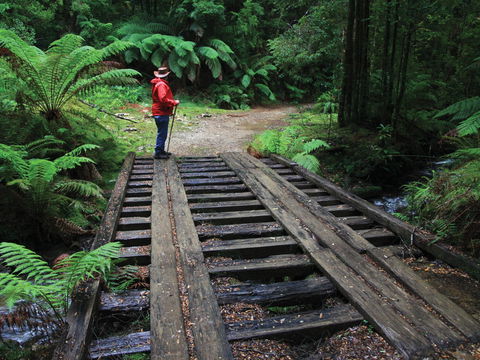 Montezuma Falls - Getaway Accommodation 0