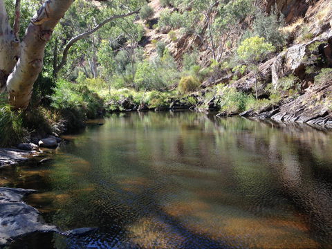 Onkaparinga River National Park - Getaway Accommodation 2