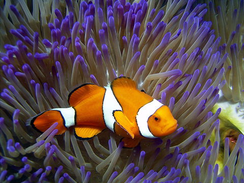 Reef HQ Aquarium - Getaway Accommodation 1