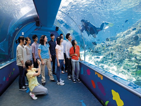 Reef HQ Aquarium - Getaway Accommodation 2