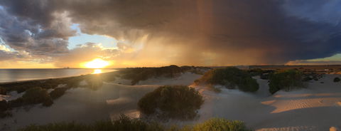 Shelly Beach Dune Walk Trail - Getaway Accommodation 2