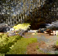 The Pines Picnic Area - Getaway Accommodation