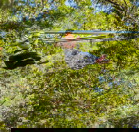 TreeTop Crazy Rider - Getaway Accommodation