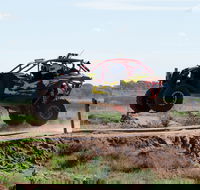 Turbo Buggy Ride - Getaway Accommodation