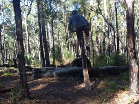 Turner Hill Mountain Bike Trail, Murray - Getaway Accommodation 1