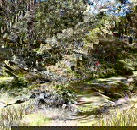 Wollomombi Walking Track - Getaway Accommodation