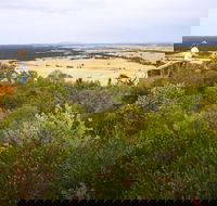 Archer Drive Scenic Drive and Lookout - Getaway Accommodation