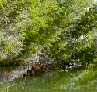 Berry Springs Nature Park - Getaway Accommodation
