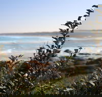 Cape Conran Coastal Park - Getaway Accommodation