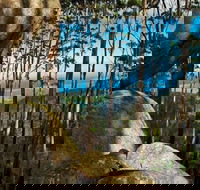 Gulaga Mountain Walk - Getaway Accommodation