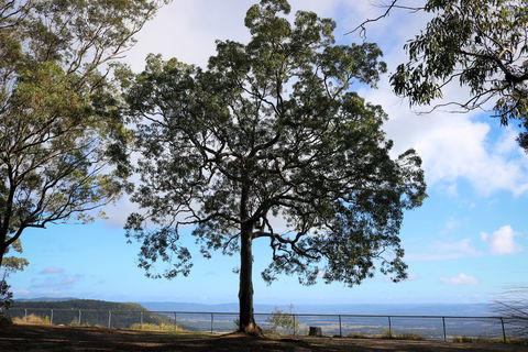Heaton State Forest - Watagan Mountains - Getaway Accommodation 2