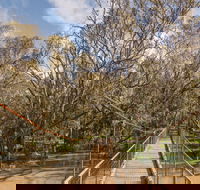 Lachlan River Swing Bridge - Getaway Accommodation