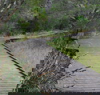 Leschenault Peninsula Conservation Park - Getaway Accommodation