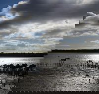 Marine Parade Hastings Foreshore Reserve Circuit - Cycling - Getaway Accommodation