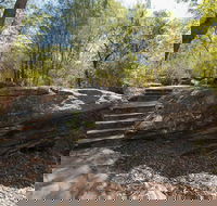 Mooney Mooney nature walk - Getaway Accommodation