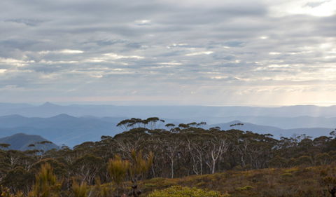 Mount Budawang Trail - Getaway Accommodation 0