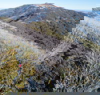 Mt Buller Bike Park - Getaway Accommodation