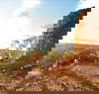 Natural Sciences Loop - Getaway Accommodation