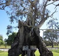The Herbig Family Tree - Getaway Accommodation