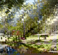 Wangaratta's Significant Trees Walks - Getaway Accommodation