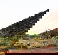 Whyalla Conservation Park - Getaway Accommodation