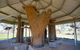 Collymongle Carved Trees - thumb 2