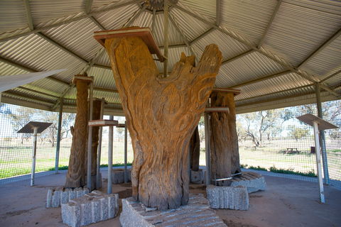 Collymongle Carved Trees - Getaway Accommodation 2