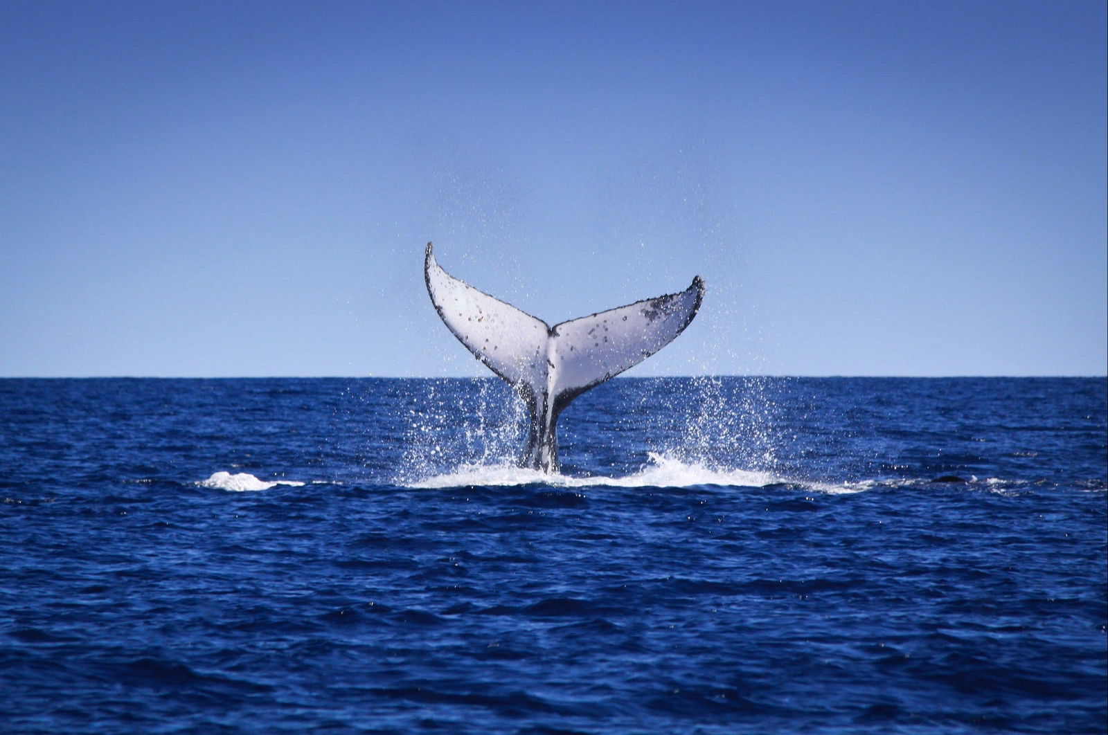 Exmouth Gulf WA Getaway Accommodation