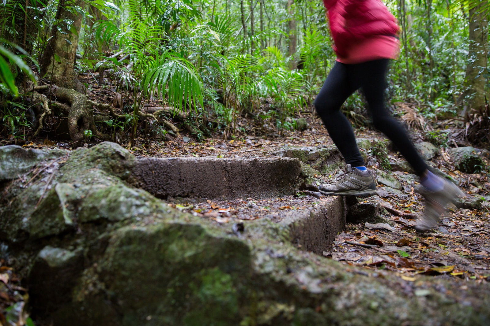 Mount Glorious QLD Getaway Accommodation