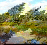 Mansfield Mullum Wetlands - Getaway Accommodation