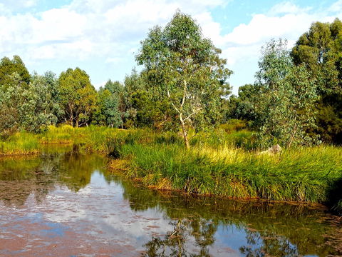 Mansfield Mullum Wetlands - Getaway Accommodation 0