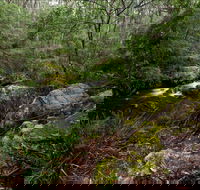 Mongarlowe River picnic area - Getaway Accommodation