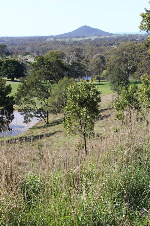 Mt Piper Nature Conservation Reserve - Getaway Accommodation 1
