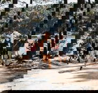 Myponga Reservoir Trail - Getaway Accommodation