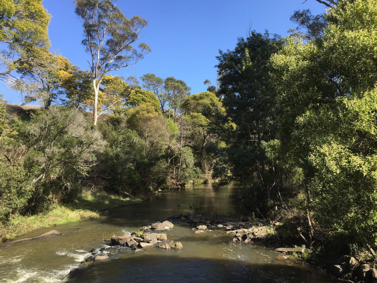 Pipers River TAS Getaway Accommodation
