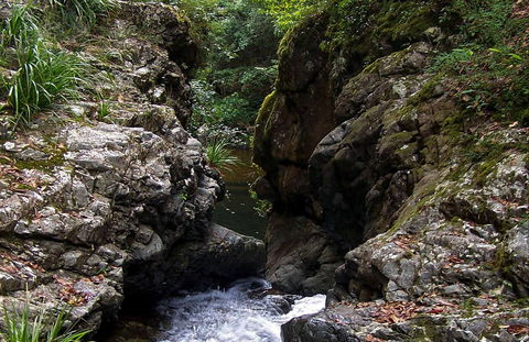 Potoroo Falls Walk - Getaway Accommodation 0