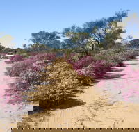 Reynoldson's Flora Reserve - Getaway Accommodation