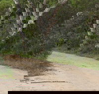 Riverview walking track - Getaway Accommodation