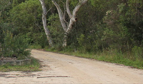 Riverview Walking Track - Getaway Accommodation 0