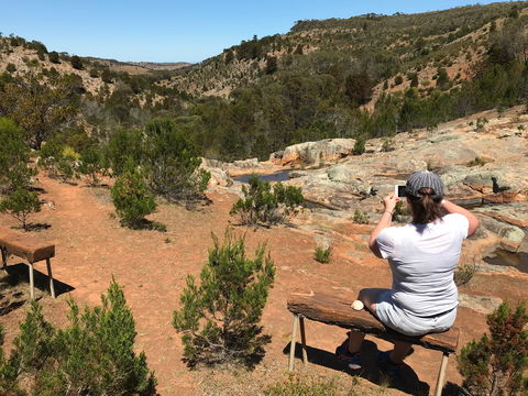 Yeldulknie Conservation Park Hiking Trail - Getaway Accommodation 0